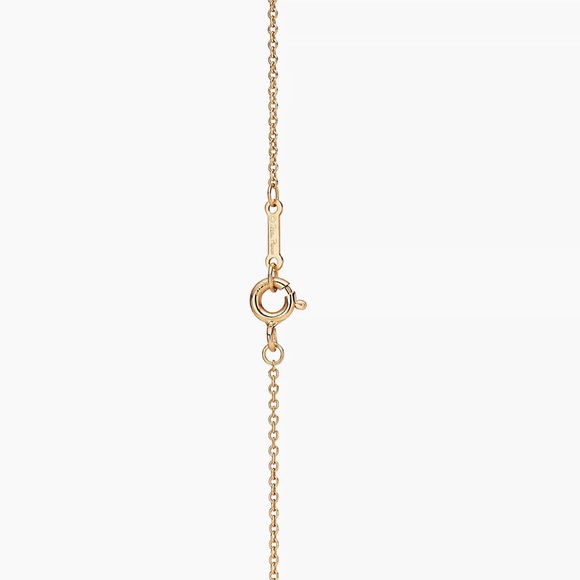 Tiffany & Co Paloma Picasso Olive Leaf Vine Pendant - Picture 4 of 12